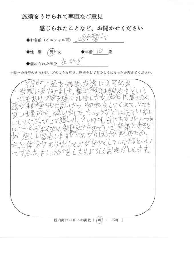 2004感想文